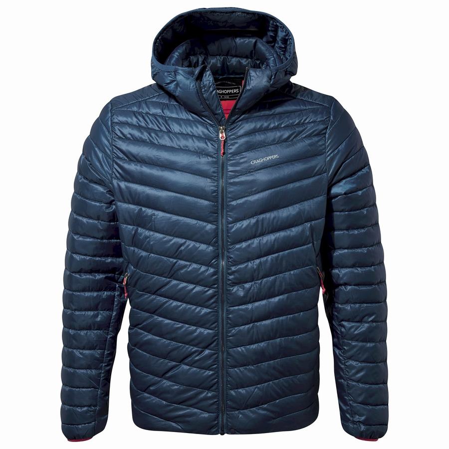 Craghoppers Insulated ExpoLite Hupullinen Miesten Takki Laivastonsininen Sininen | XNK4734YC