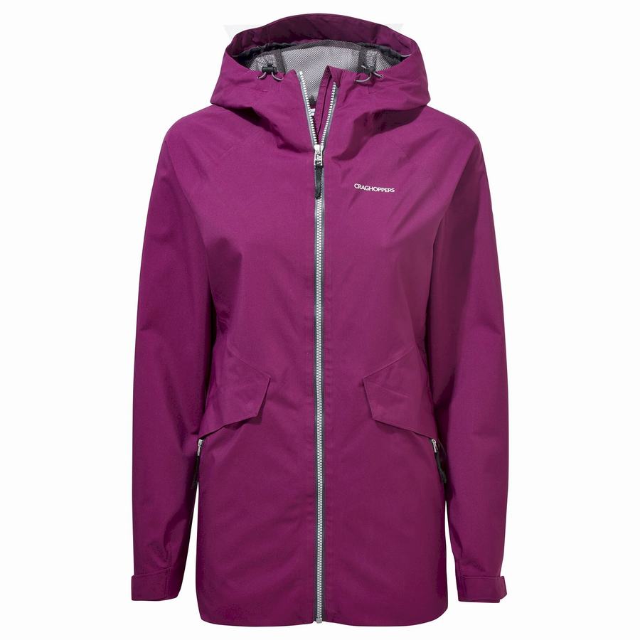 Craghoppers Minola GORE-TEX Naisten Takki Violetit | OLW6888UV