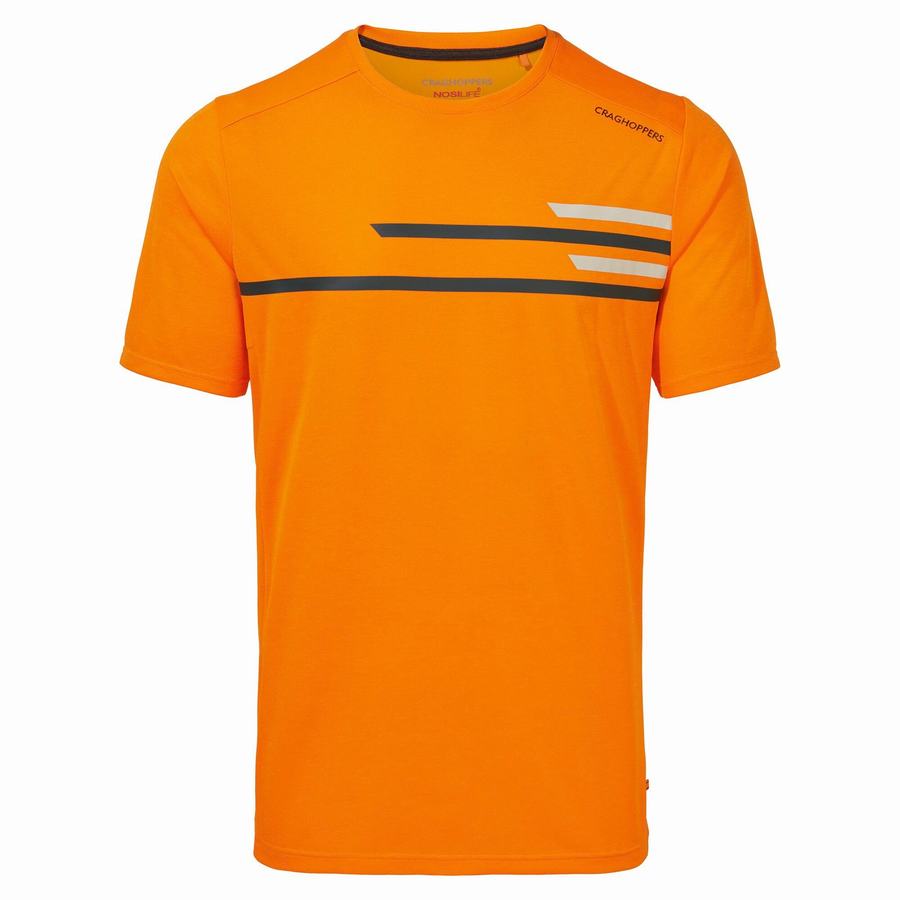 Craghoppers NosiLife Pro Active Lyhyt Sleeved Miesten T-paidat Oranssi | SNE8954WO