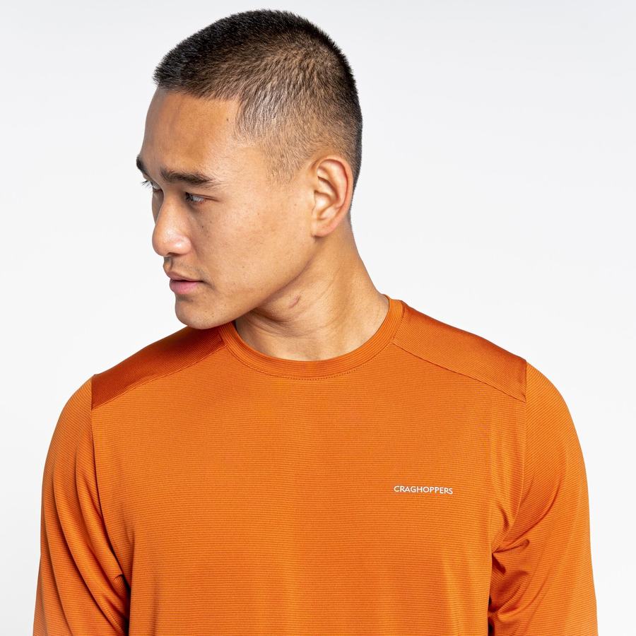 Craghoppers Belardo Lyhyt Sleeved Miesten T-paidat Oranssi | GJD4569EG