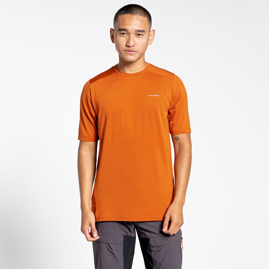 Craghoppers Belardo Lyhyt Sleeved Miesten T-paidat Oranssi | GJD4569EG