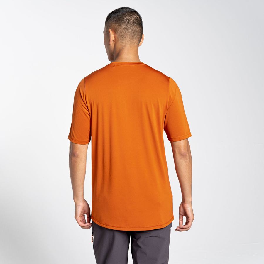 Craghoppers Belardo Lyhyt Sleeved Miesten T-paidat Oranssi | GJD4569EG