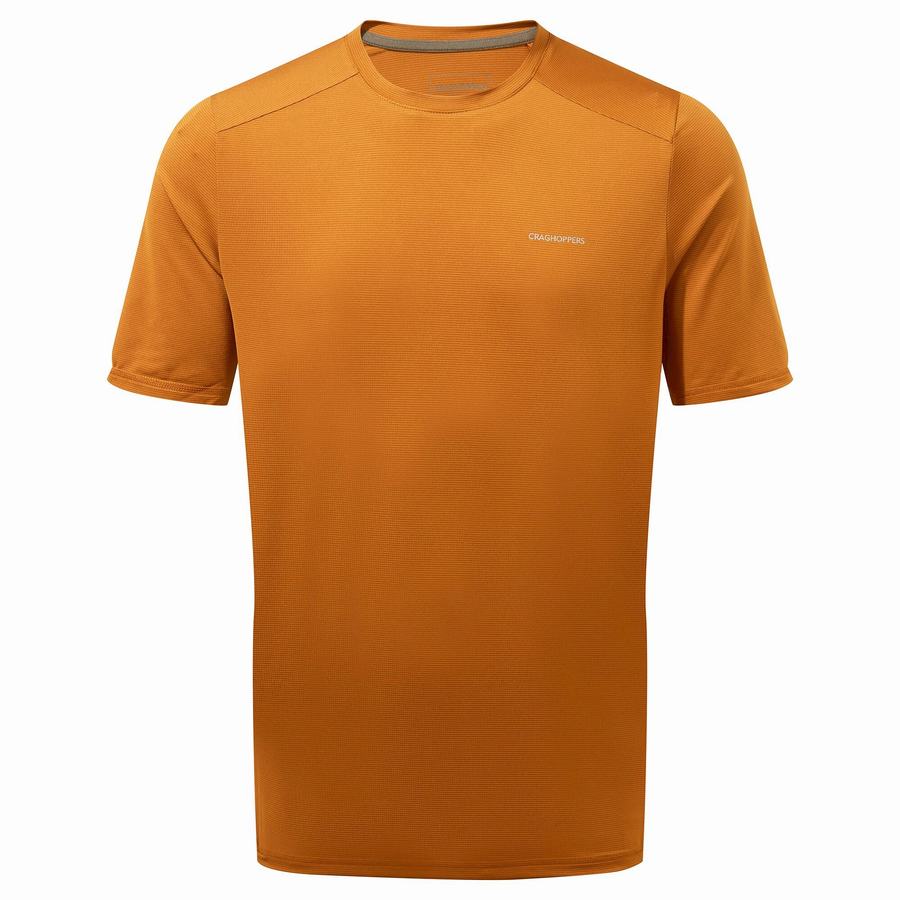 Craghoppers Belardo Lyhyt Sleeved Miesten T-paidat Oranssi | GJD4569EG