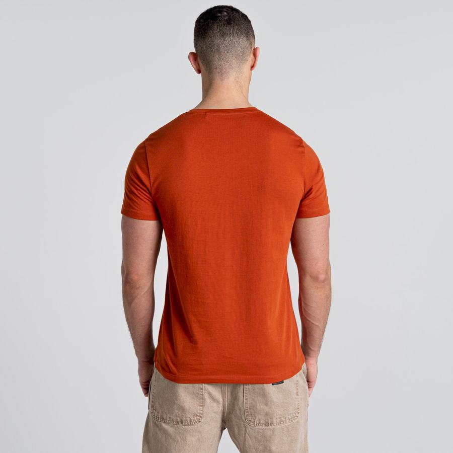 Craghoppers Caldo Lyhyt Sleeved Miesten T-paidat Oranssi | UEC2525NY