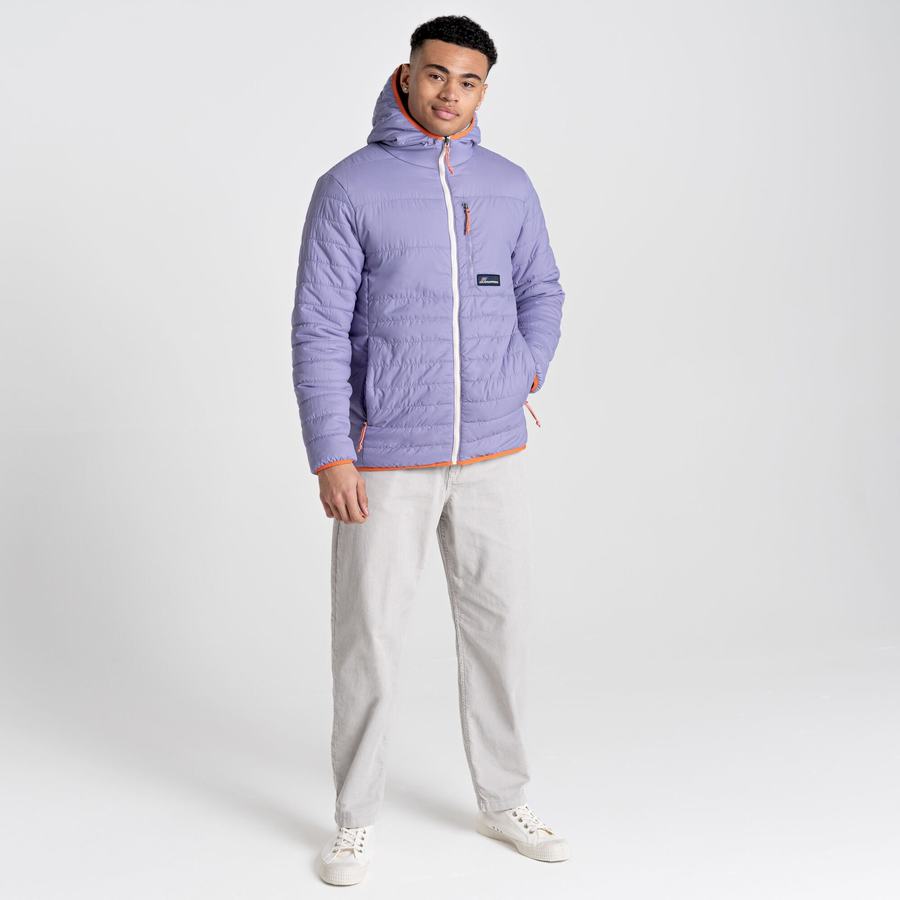 Craghoppers Cameo CompressLite Hupullinen Miesten Takki Violetit | HVN397MR