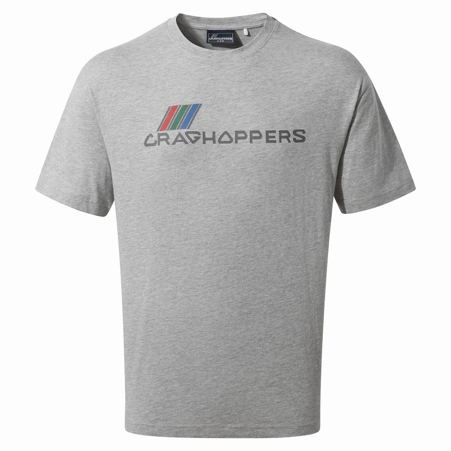 Craghoppers Crosby Lyhyt Sleeved Miesten T-paidat Harmaat | VZP6634NY