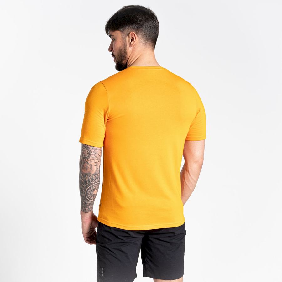 Craghoppers Dynamic Lyhyt Sleeved Miesten T-paidat Oranssi | KQZ8794VJ