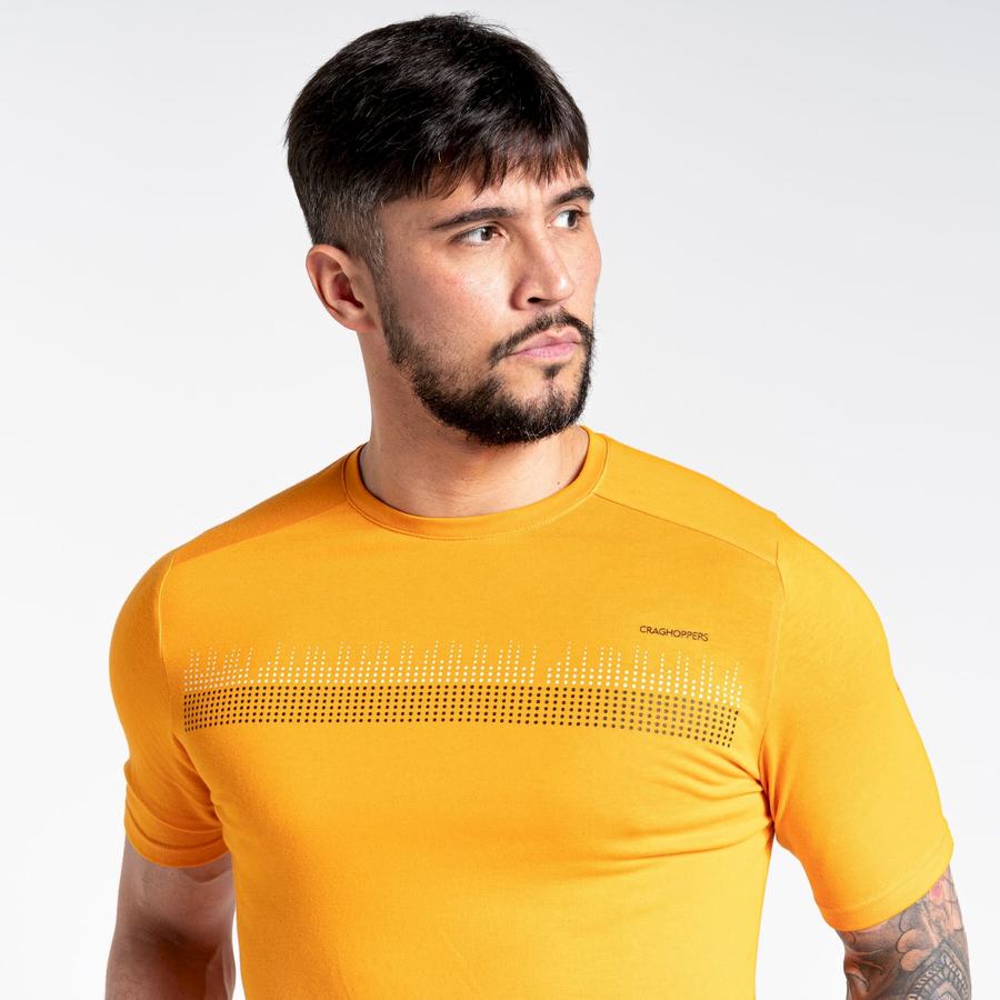 Craghoppers Dynamic Lyhyt Sleeved Miesten T-paidat Oranssi | KQZ8794VJ