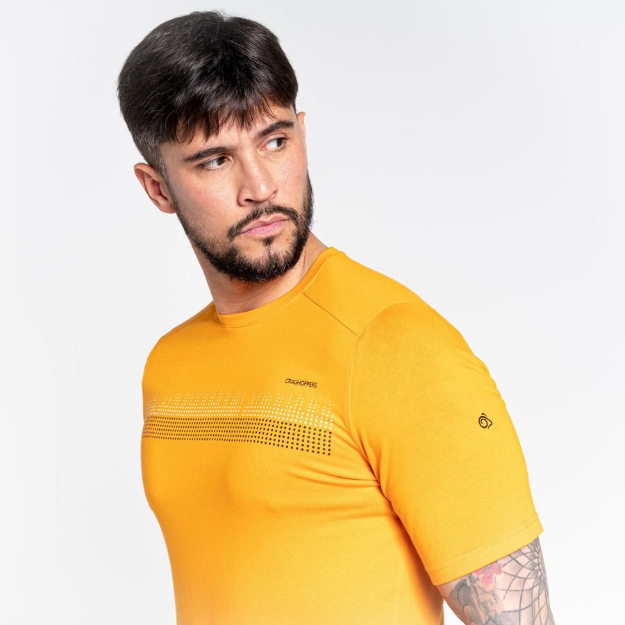 Craghoppers Dynamic Lyhyt Sleeved Miesten T-paidat Oranssi | KQZ8794VJ