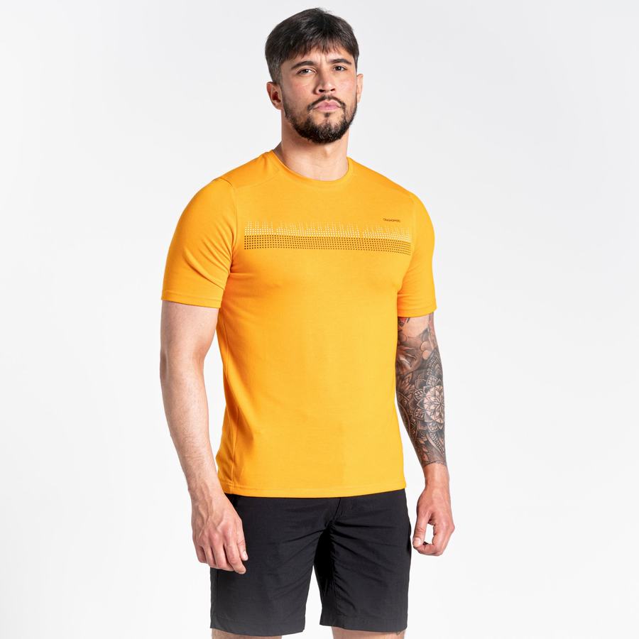 Craghoppers Dynamic Lyhyt Sleeved Miesten T-paidat Oranssi | KQZ8794VJ