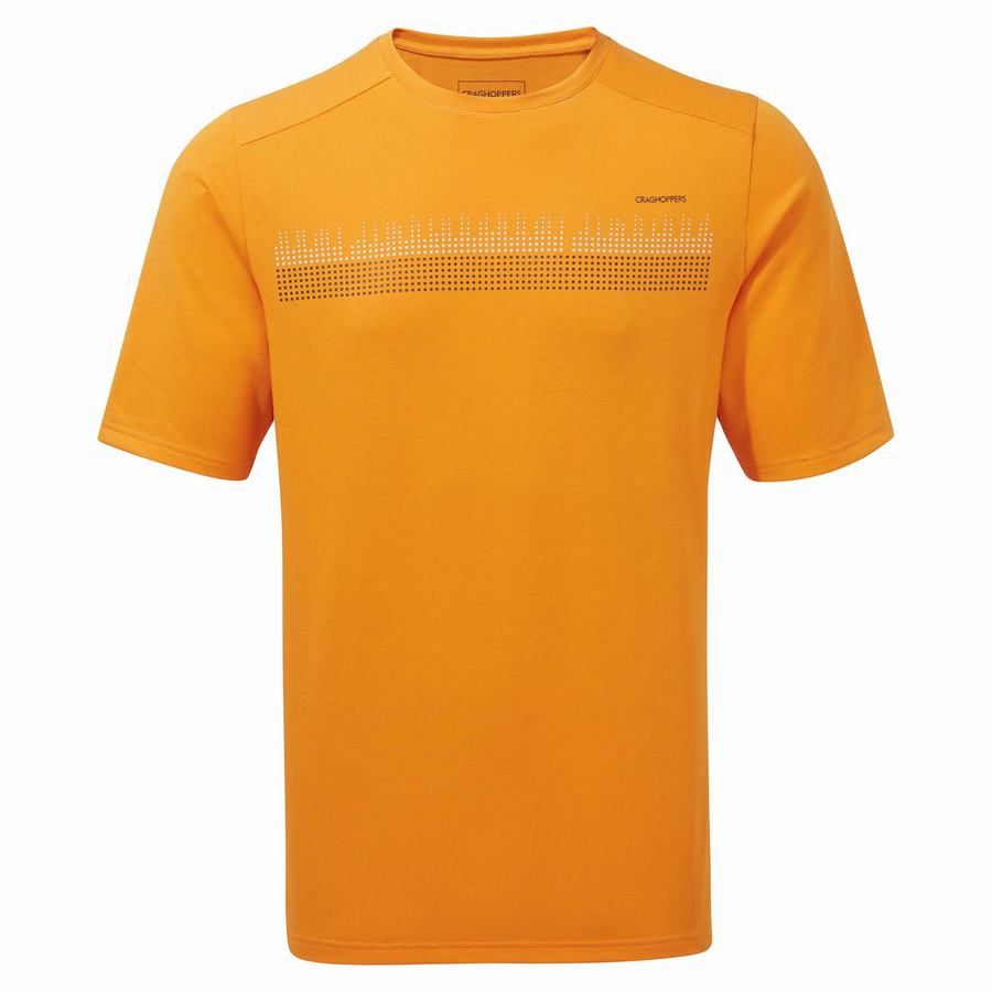 Craghoppers Dynamic Lyhyt Sleeved Miesten T-paidat Oranssi | KQZ8794VJ