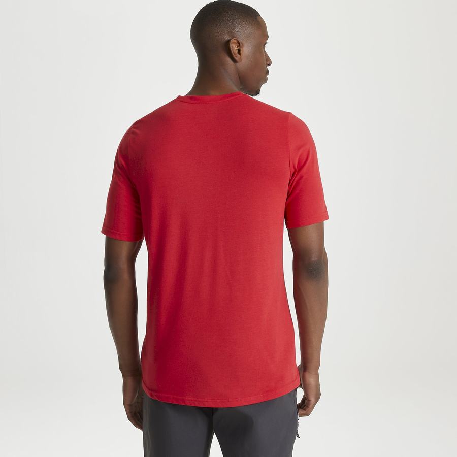 Craghoppers Dynamic Lyhyt Sleeved Sriracha Red Miesten T-paidat Punainen | DMG1176TN