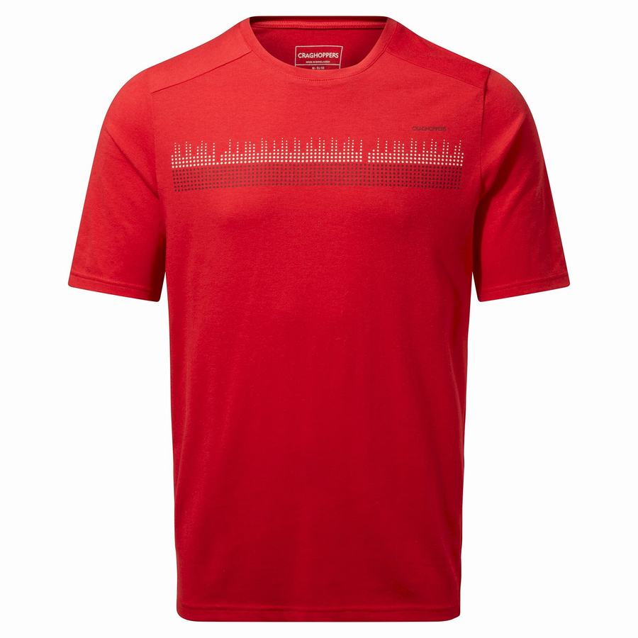 Craghoppers Dynamic Lyhyt Sleeved Sriracha Red Miesten T-paidat Punainen | DMG1176TN