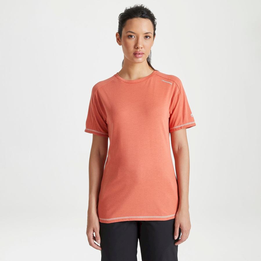 Craghoppers Dynamic Lyhyt Sleeved Warm Ginger Naisten T-paidat Oranssi | NZI4052FF