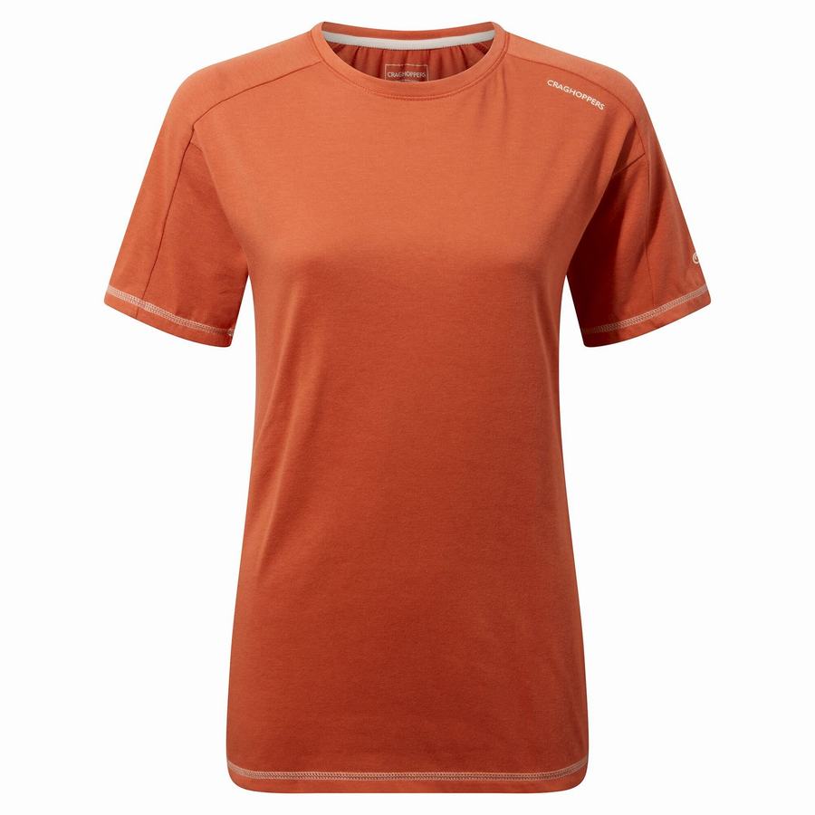 Craghoppers Dynamic Lyhyt Sleeved Warm Ginger Naisten T-paidat Oranssi | NZI4052FF