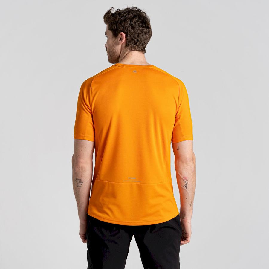 Craghoppers Dynamic Pro Lyhyt Sleeved Miesten T-paidat Oranssi | IKH384IJ