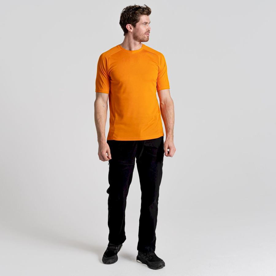 Craghoppers Dynamic Pro Lyhyt Sleeved Miesten T-paidat Oranssi | IKH384IJ