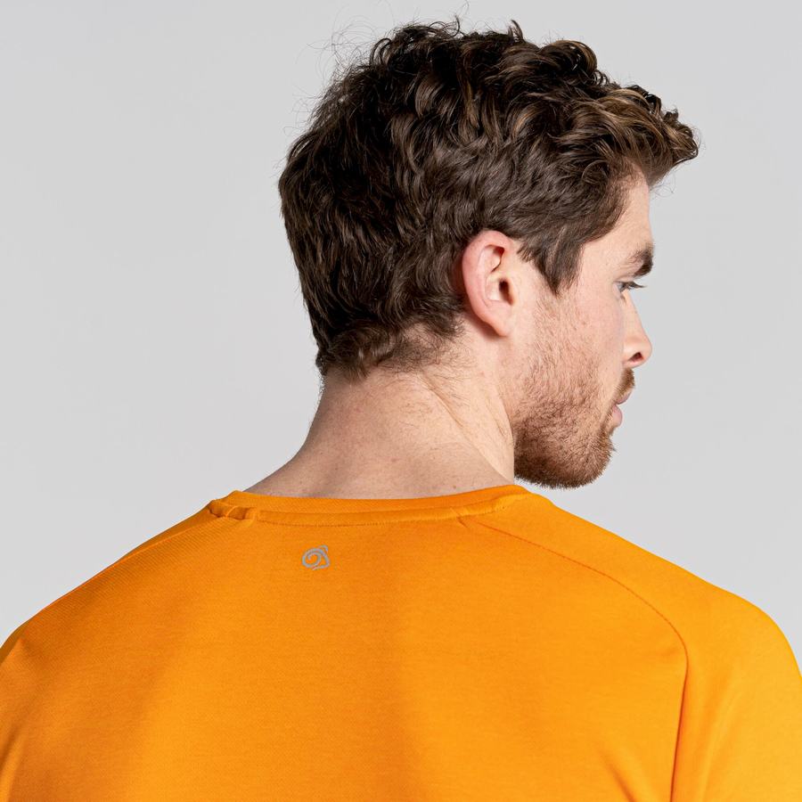 Craghoppers Dynamic Pro Lyhyt Sleeved Miesten T-paidat Oranssi | IKH384IJ