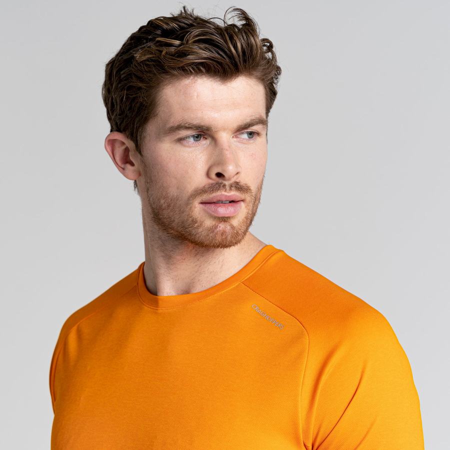 Craghoppers Dynamic Pro Lyhyt Sleeved Miesten T-paidat Oranssi | IKH384IJ