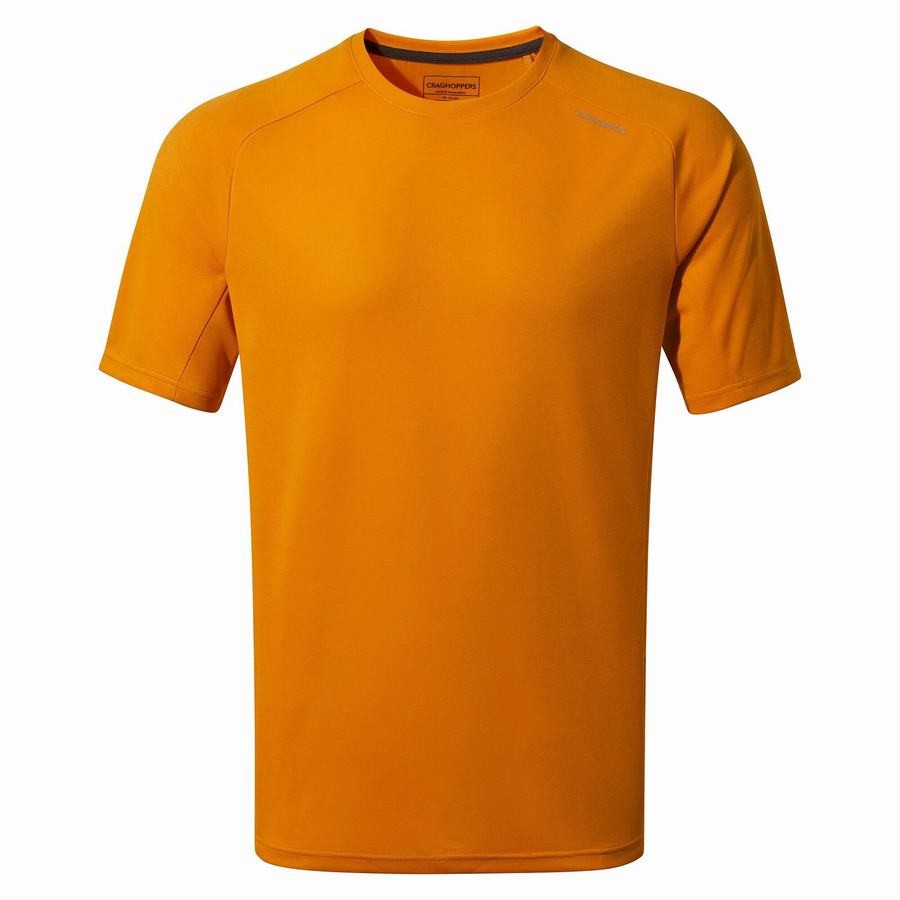 Craghoppers Dynamic Pro Lyhyt Sleeved Miesten T-paidat Oranssi | IKH384IJ