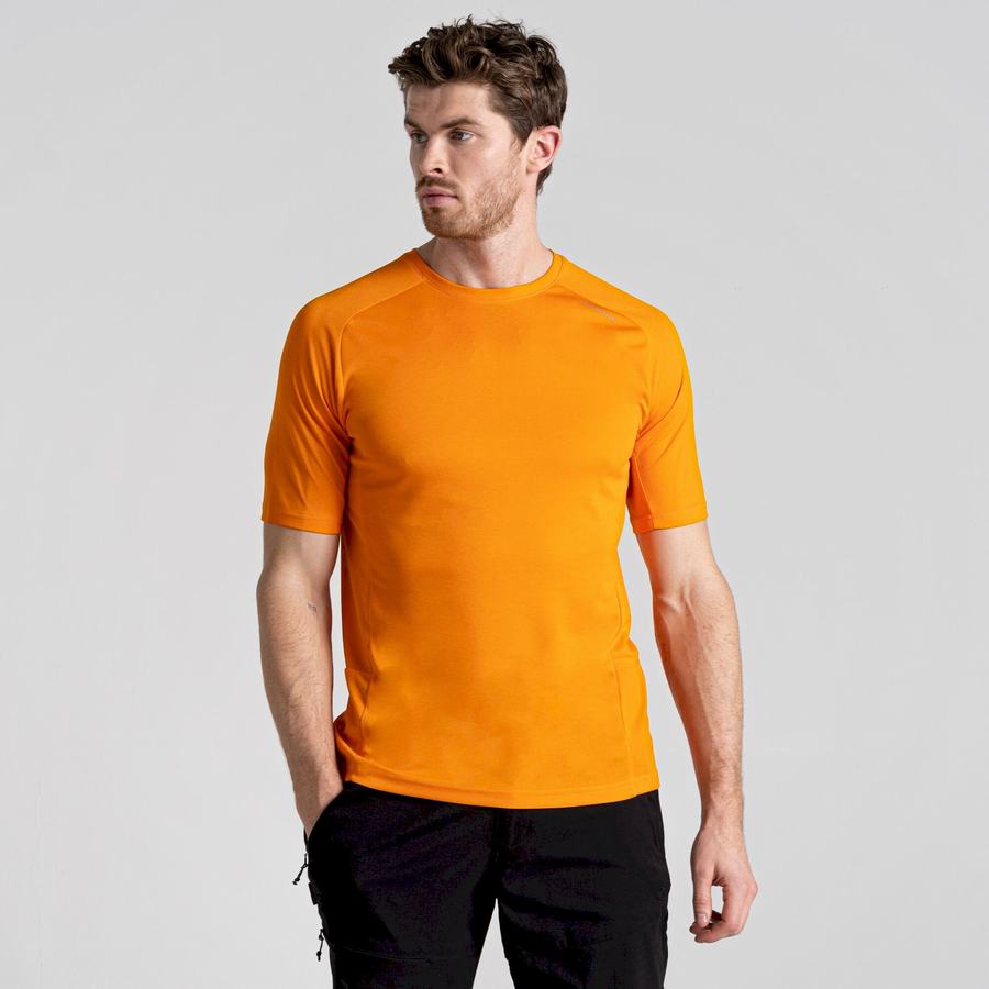 Craghoppers Dynamic Pro Lyhyt Sleeved Miesten T-paidat Oranssi | IKH384IJ