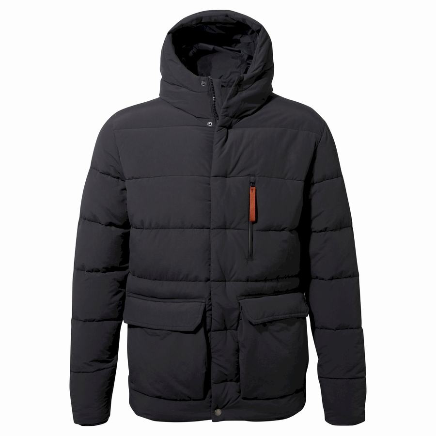 Craghoppers Insulated Cromarty Miesten Takki Laivastonsininen | MJU7324ZX