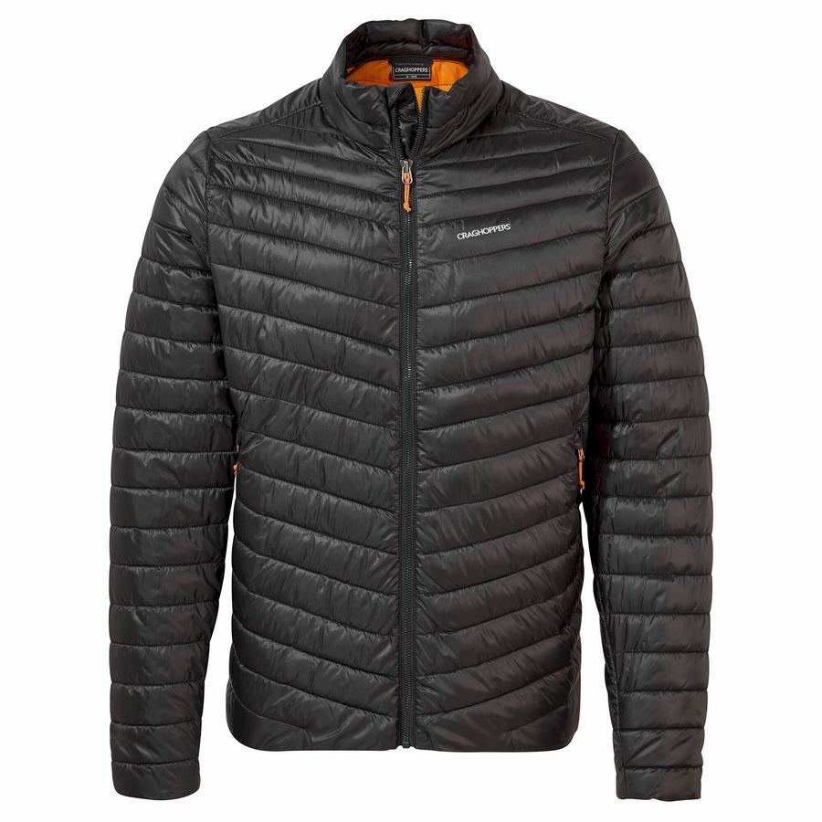 Craghoppers Insulated ExpoLite Miesten Takki Mustat Oranssi | DCQ7887NB