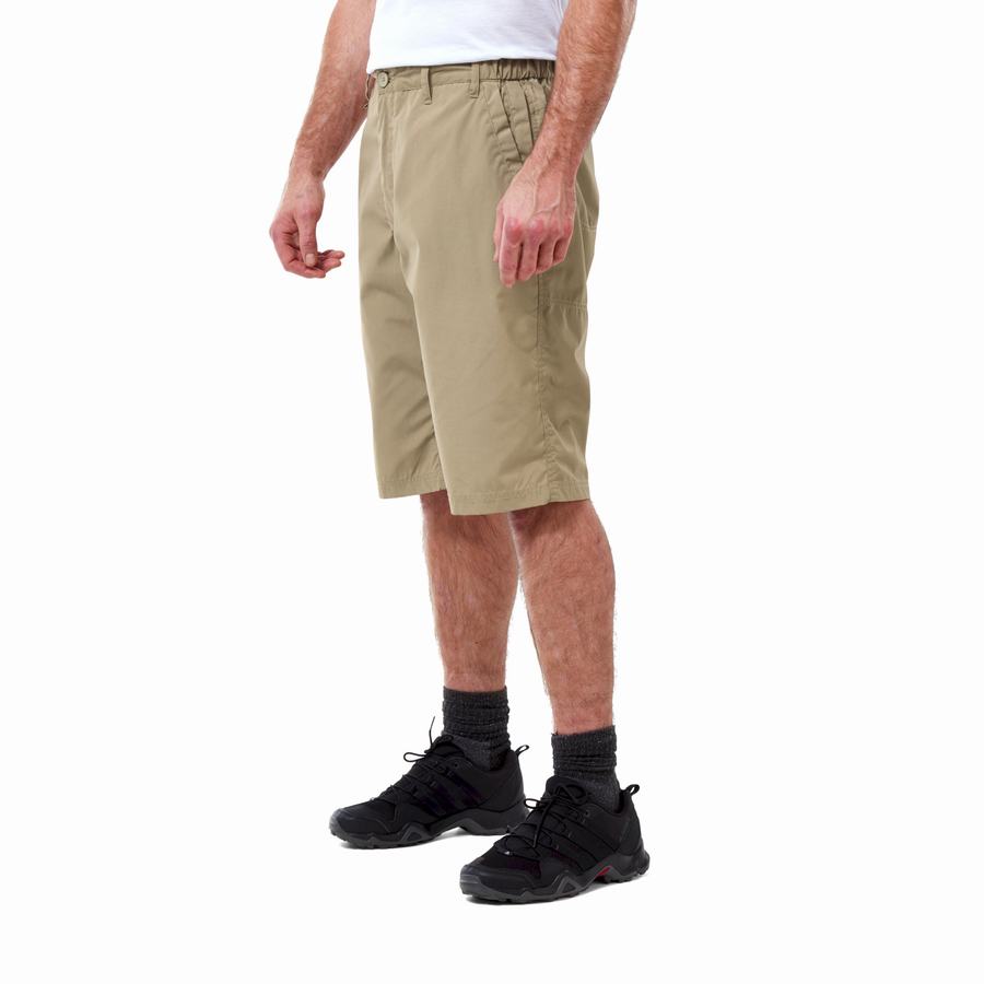 Craghoppers Kiwi Long Miesten Shortsit Khaki | NJF8197MQ