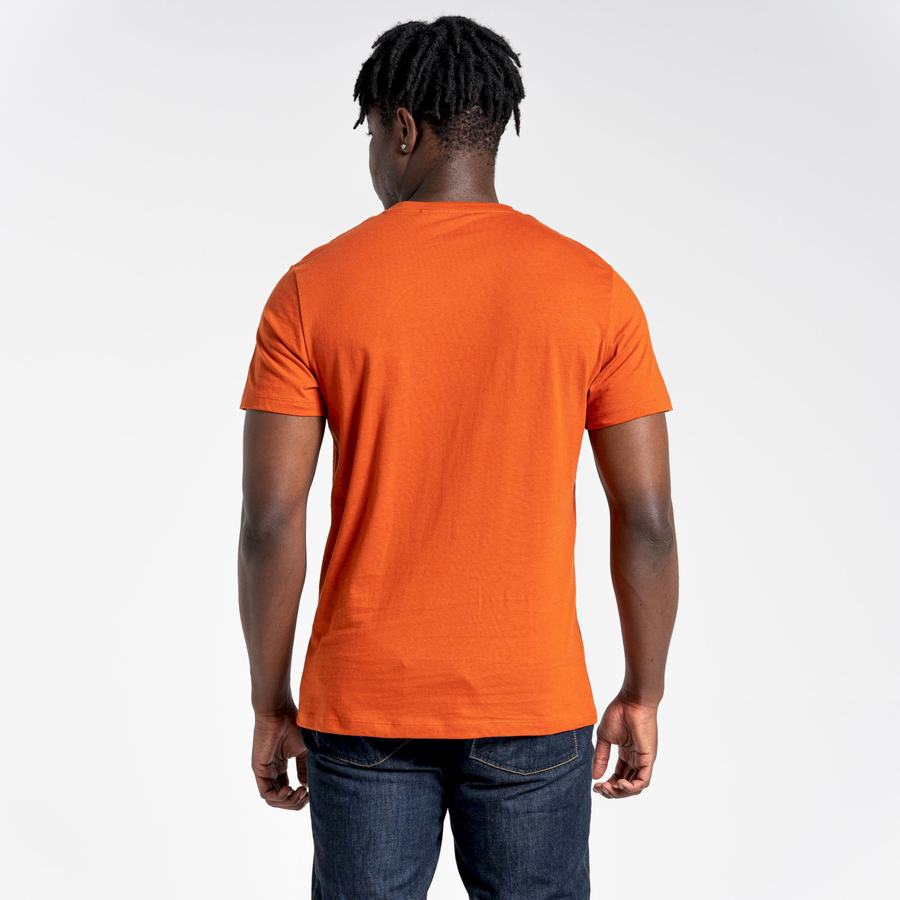 Craghoppers Lugo Lyhyt Sleeved Miesten T-paidat Oranssi | WBX5074BZ