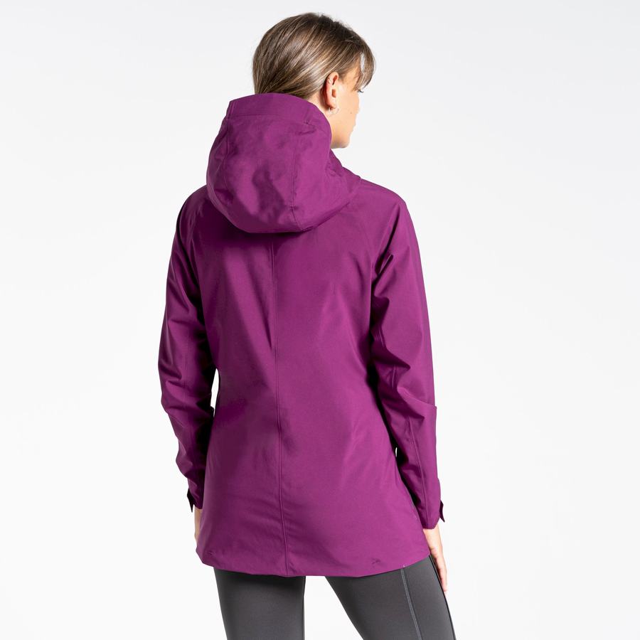 Craghoppers Minola GORE-TEX Naisten Takki Violetit | OLW6888UV