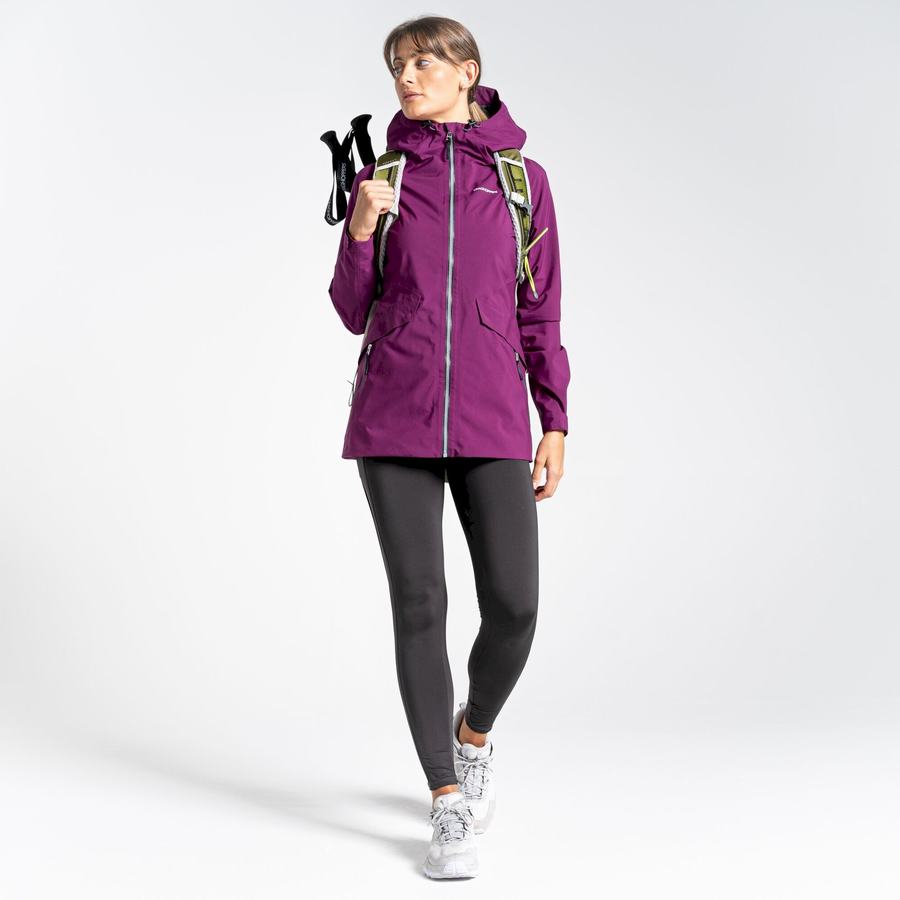 Craghoppers Minola GORE-TEX Naisten Takki Violetit | OLW6888UV