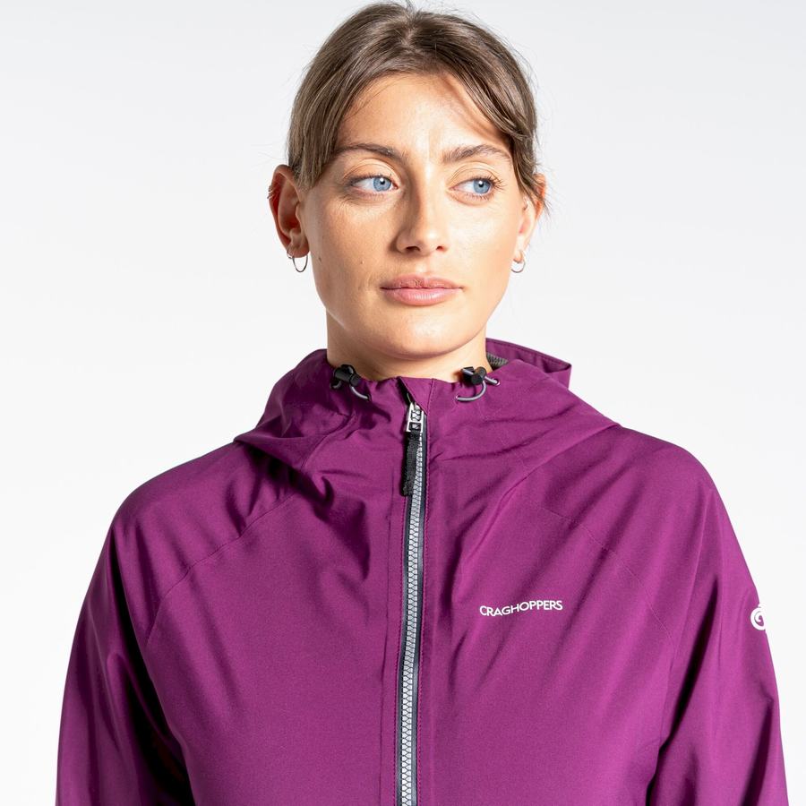 Craghoppers Minola GORE-TEX Naisten Takki Violetit | OLW6888UV