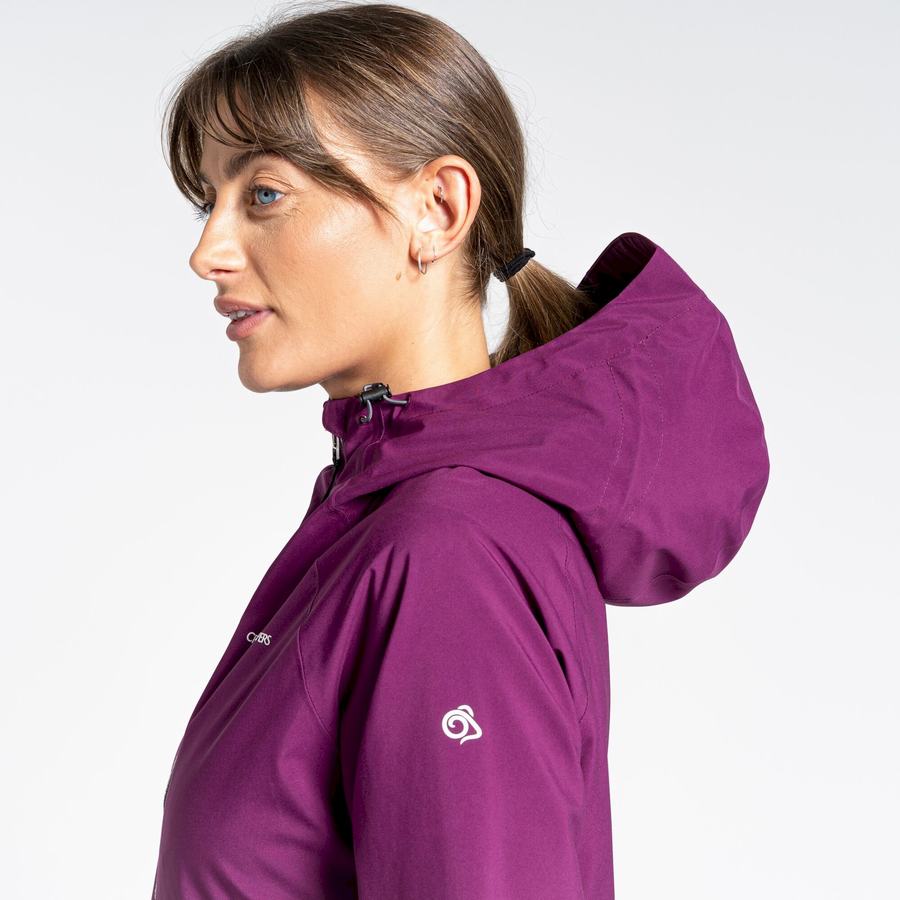 Craghoppers Minola GORE-TEX Naisten Takki Violetit | OLW6888UV