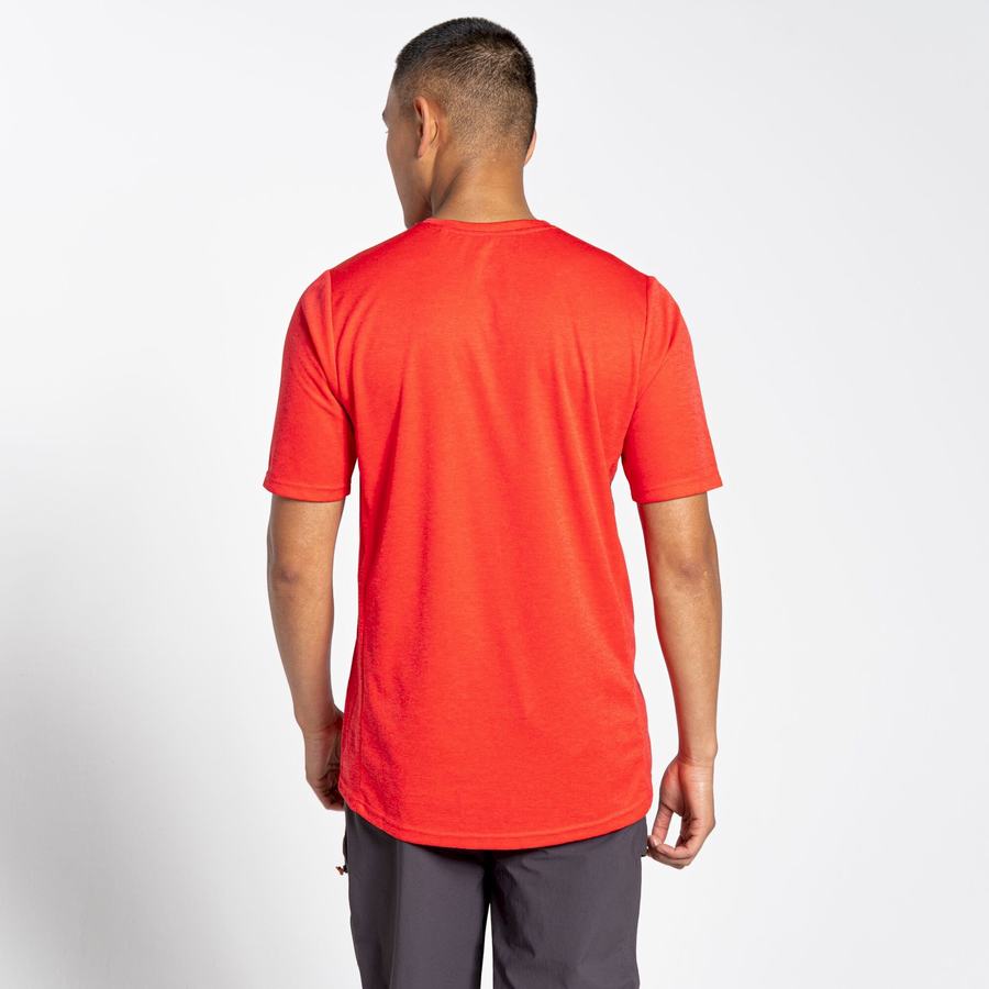 Craghoppers NosiLife Pro Active Lyhyt Sleeved Miesten T-paidat Oranssi Punainen | QYN7646DC