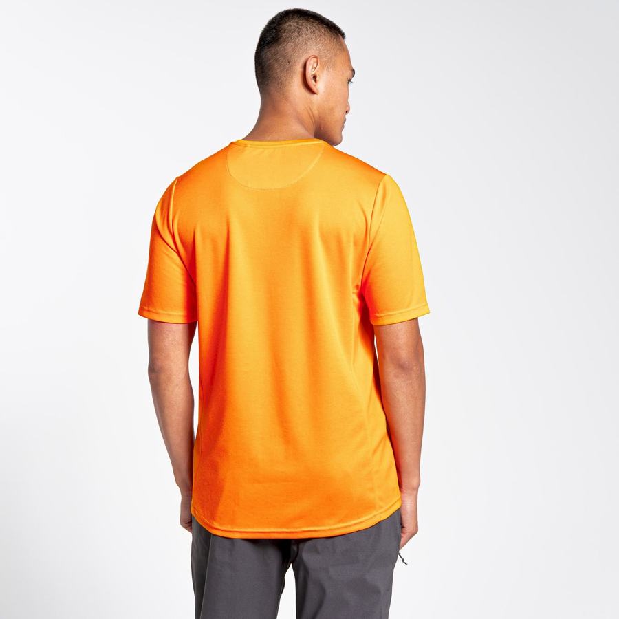 Craghoppers NosiLife Pro Active Lyhyt Sleeved Miesten T-paidat Oranssi | SNE8954WO