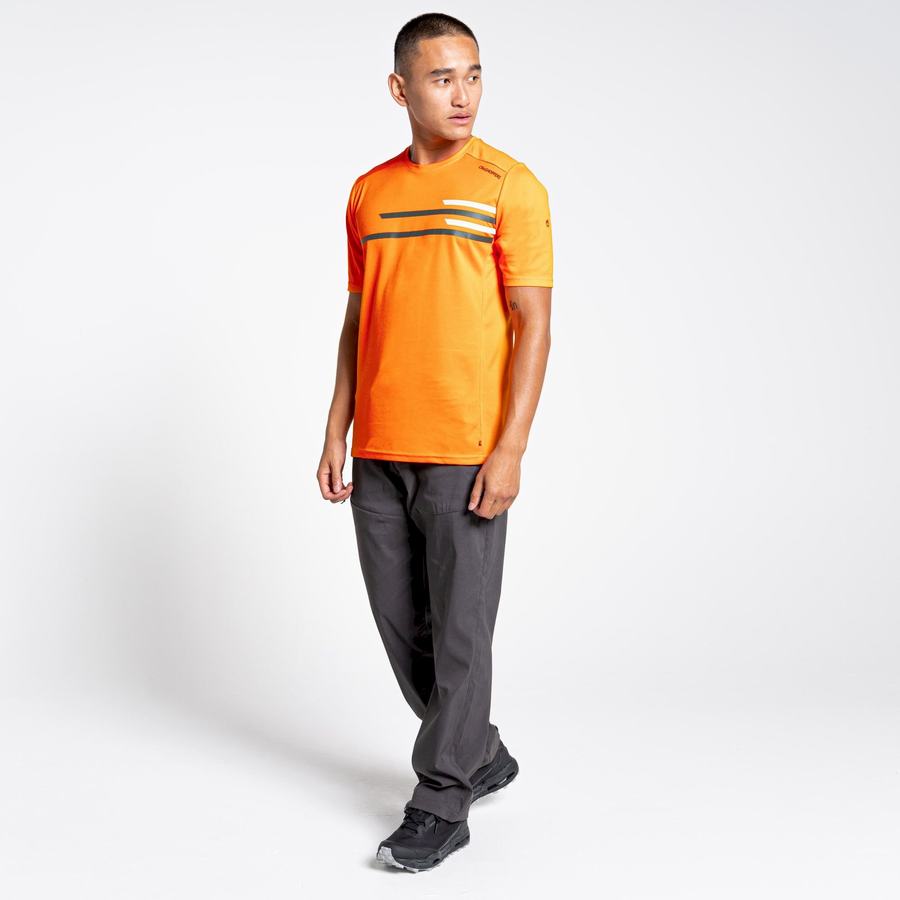 Craghoppers NosiLife Pro Active Lyhyt Sleeved Miesten T-paidat Oranssi | SNE8954WO