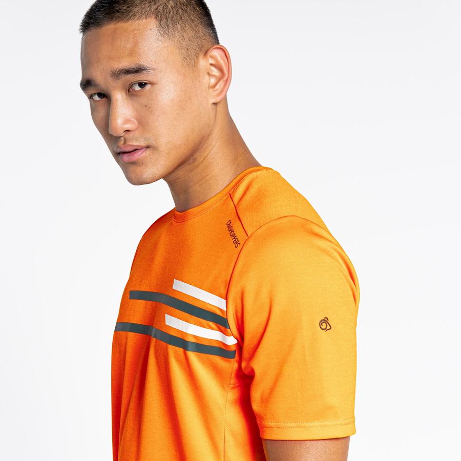 Craghoppers NosiLife Pro Active Lyhyt Sleeved Miesten T-paidat Oranssi | SNE8954WO