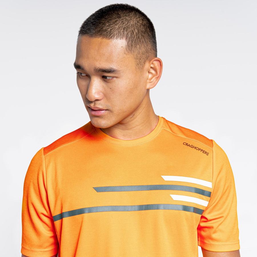 Craghoppers NosiLife Pro Active Lyhyt Sleeved Miesten T-paidat Oranssi | SNE8954WO