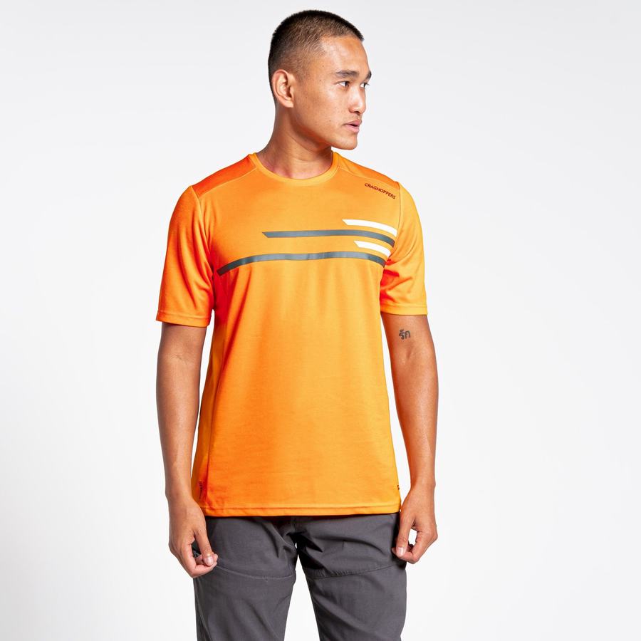 Craghoppers NosiLife Pro Active Lyhyt Sleeved Miesten T-paidat Oranssi | SNE8954WO